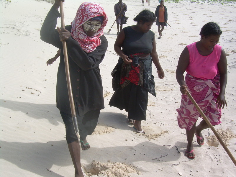 The is the Image ALT Text